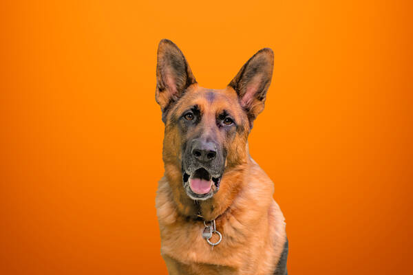 Barnie